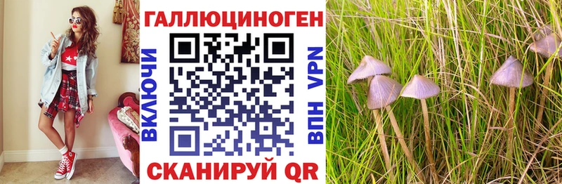 Псилоцибиновые грибы GOLDEN TEACHER  omg ССЫЛКА  Задонск 